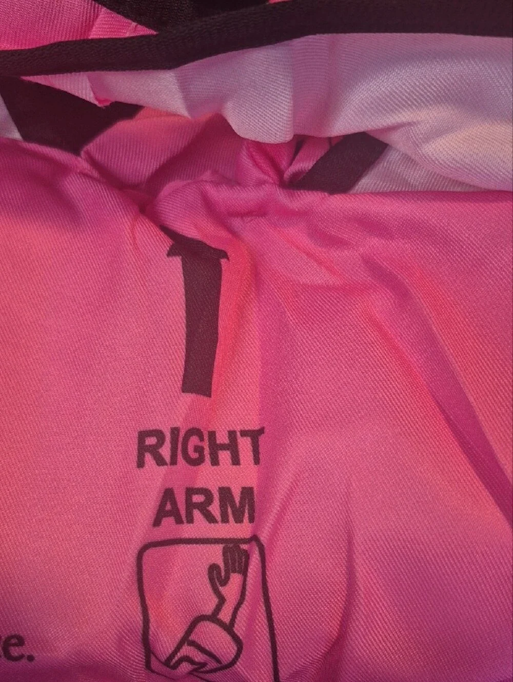 Pink Princess Float Swim Vest with Arm Bands